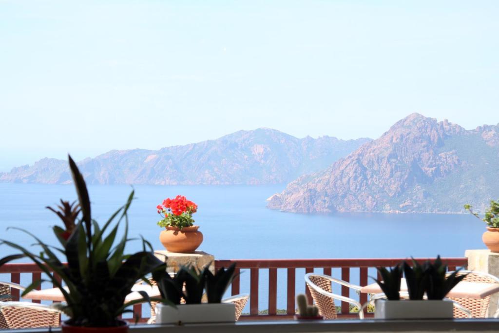 Hotel Les Roches Rouges Пяна Стая снимка